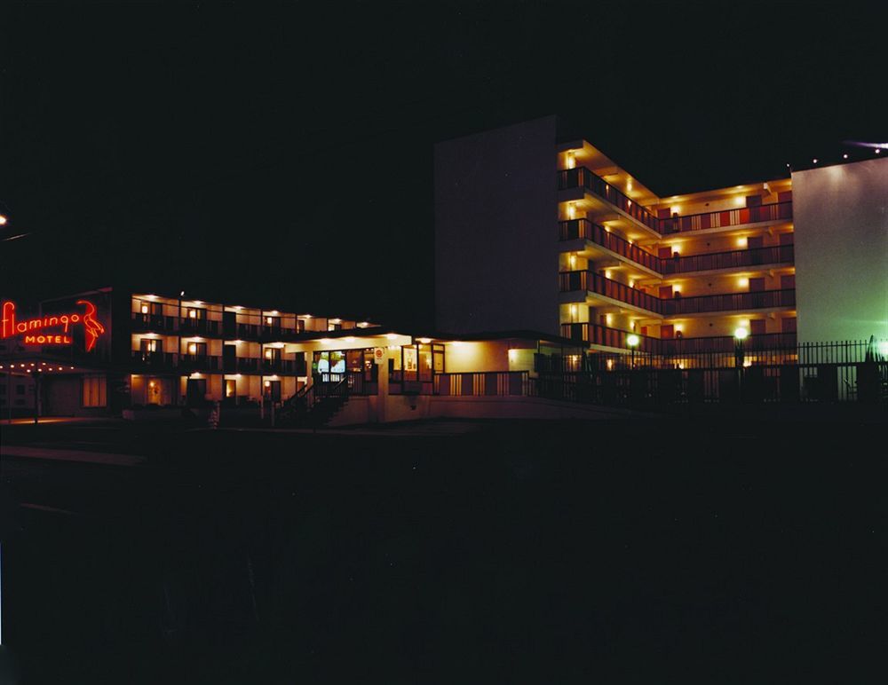آوشين سيتي Flamingo Motel المظهر الخارجي الصورة